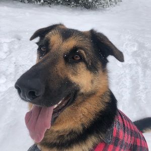 Meet your Posher, Emily